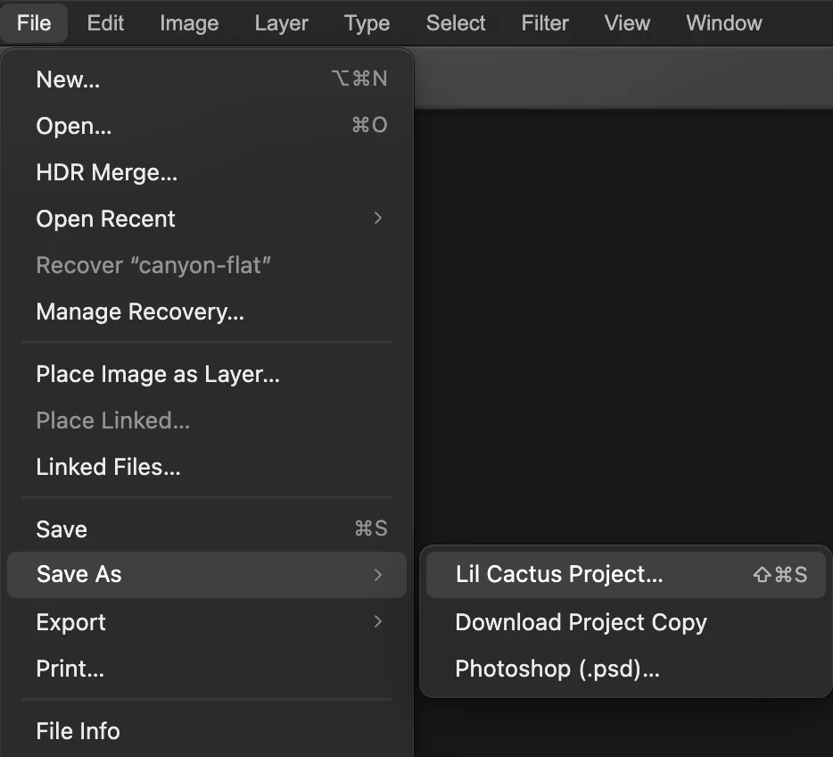 Il menu File con il sottomenu Salva con nome aperto: Progetto Lil Cactus… (cerchiato), Scarica copia del progetto e Photoshop (.psd)…