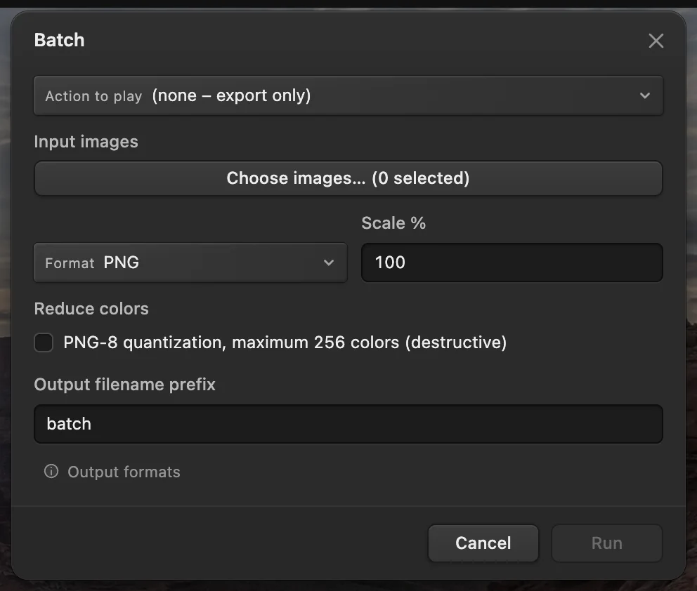 Finestra Batch con i campi Immagini di input, Formato e Scala e un pulsante Esegui