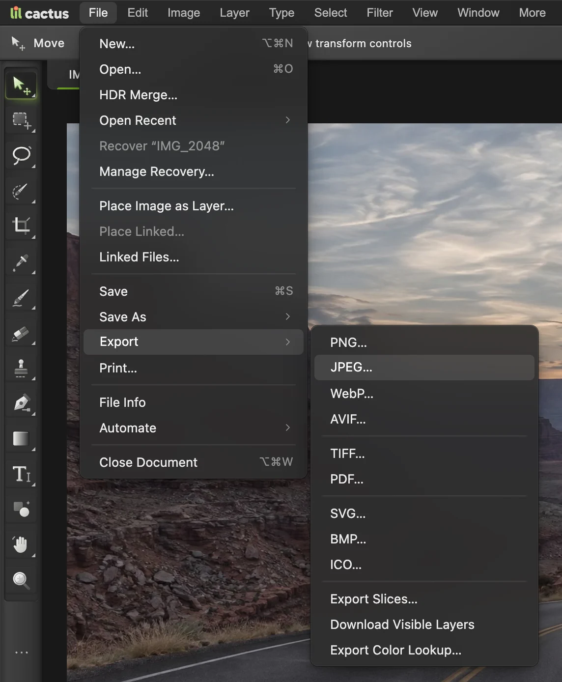 Il menu File con il sottomenu Esporta aperto, che elenca PNG, JPEG, WebP, AVIF, TIFF, PDF, SVG, BMP e ICO