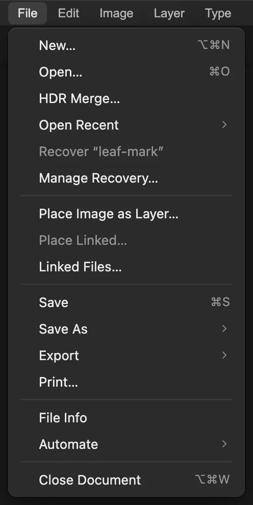 Menu File con Apri cerchiato