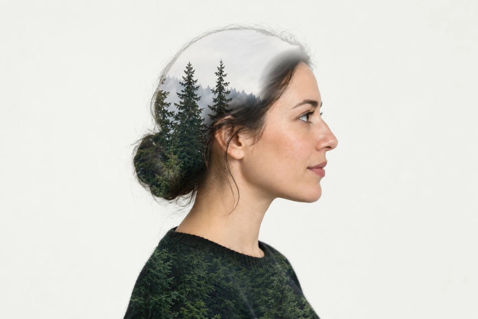 Una donna di profilo prima e dopo: alti abeti riempiono la nuca, lo chignon e il maglione, mentre il viso resta pulito