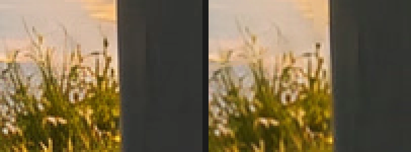 Due viste ingrandite del lato sinistro del bidone davanti all’erba e all’acqua: la foto originale nitida e lo stack, entrambi con un bordo pulito