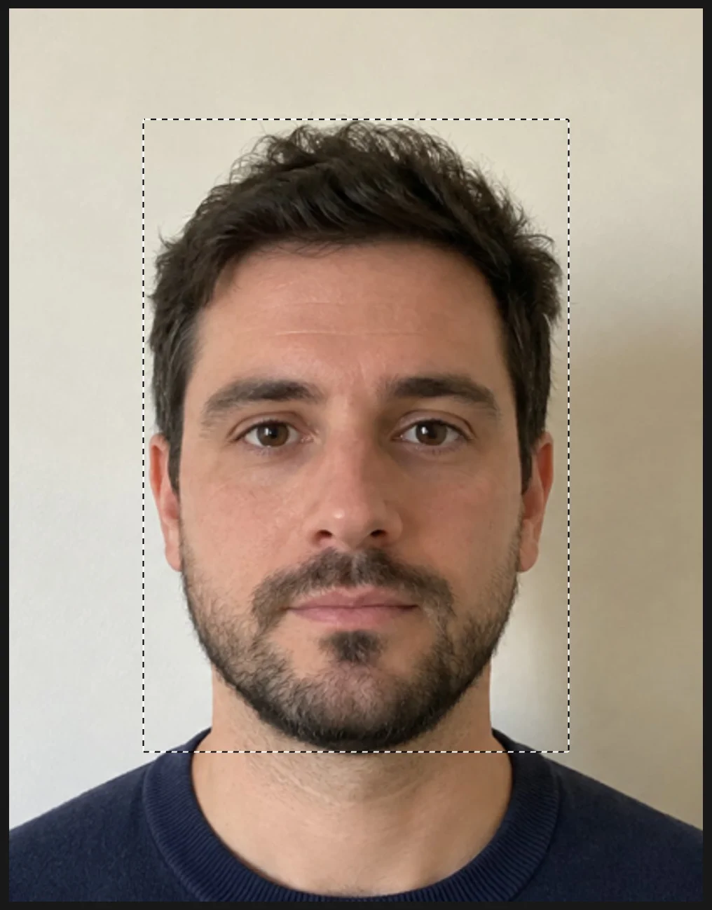 La foto ridimensionata con un rettangolo tratteggiato dalla sommità dei capelli alla base del mento