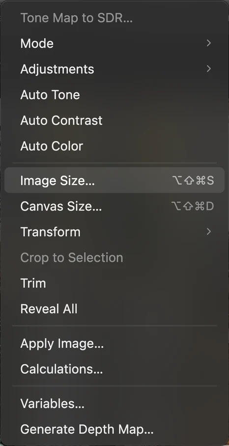 Il menu Immagine aperto con Dimensioni immagine evidenziato