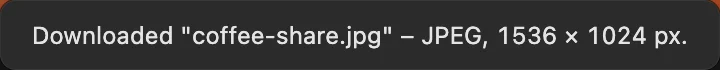 La conferma del download di coffee-share.jpg con le dimensioni del file prodotto