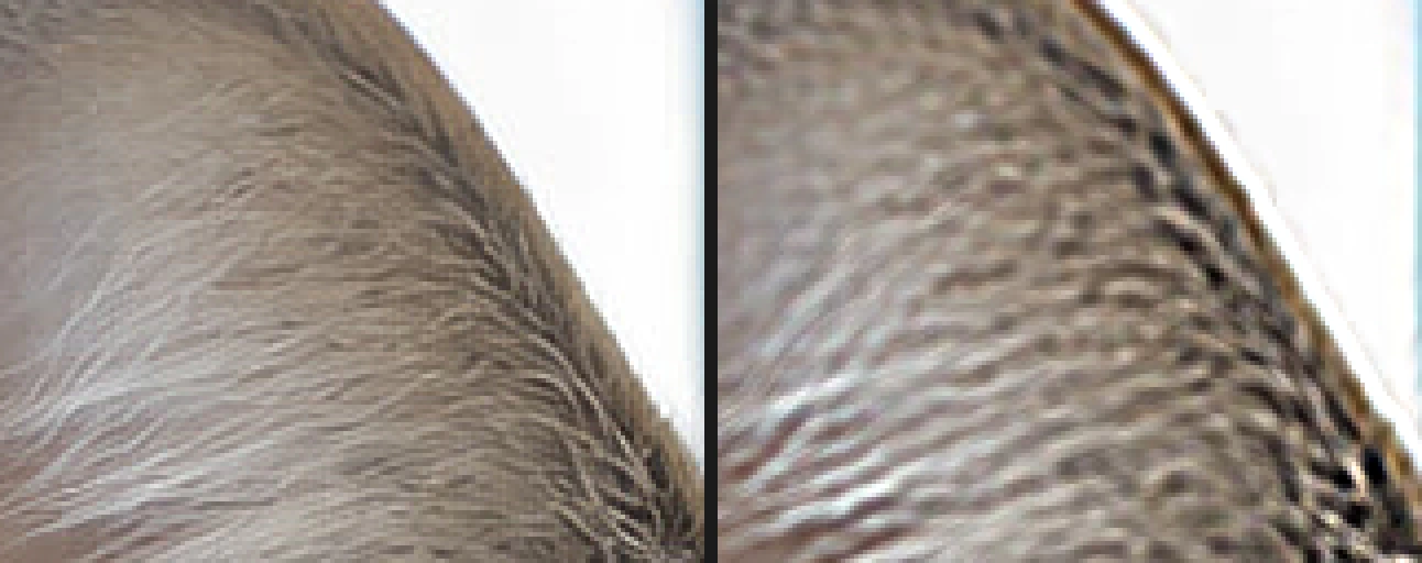 Due viste ingrandite dell’orecchio del gatto contro la finestra luminosa: pulito con i valori predefiniti di Nitidezza avanzata, e con un contorno scuro, un bordo chiaro e un pelo grossolano e increspato con Quantità 400% e Raggio 3 px